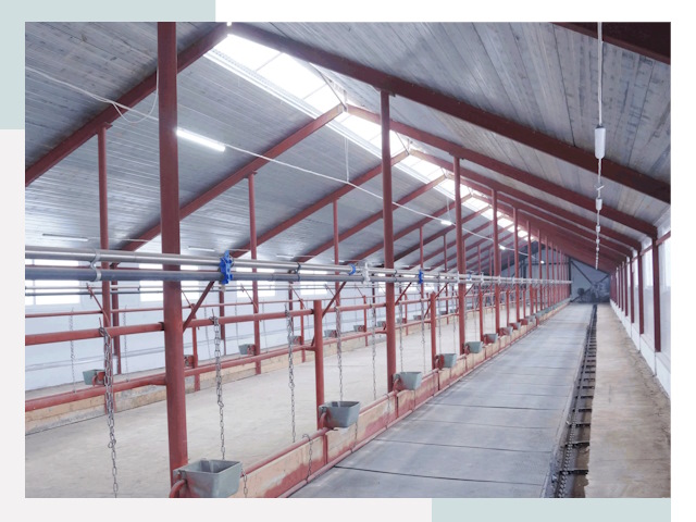 Строительство коровников в Колпине от 619 руб.