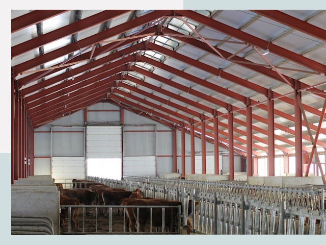 Строительство коровников в Колпине