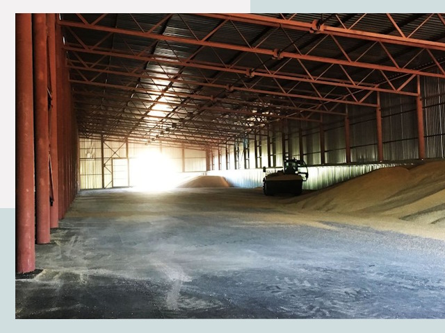 Строительство зернохранилищ в Колпине