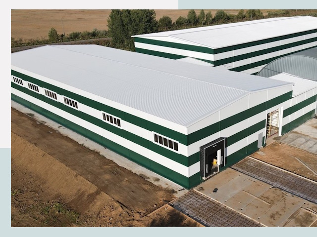 Строительство овощехранилищ в Колпине