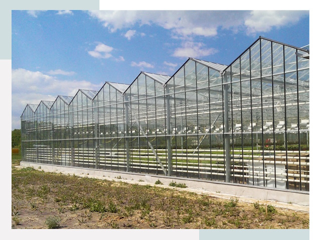 Строительство теплиц в Колпино от 619 руб. за м²