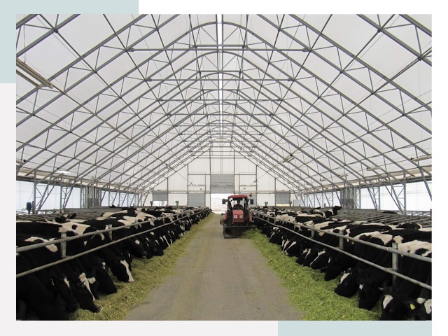 Тентовые коровники в Колпине от 619 руб. - Надежно и доступно